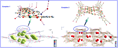 Graphical abstract: Two novel macrocyclic organotin(iv) carboxylates based on amide carboxylic acids