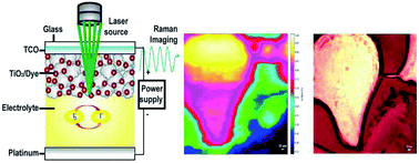 Graphical abstract: Micro-Raman analysis of reverse bias stressed dye-sensitized solar cells