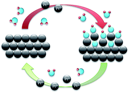 Graphical abstract: Towards a comprehensive understanding of platinum dissolution in acidic media