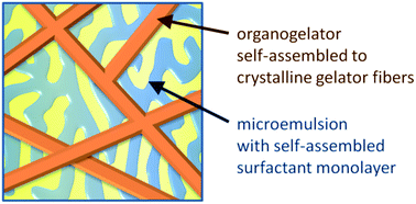 Graphical abstract: Studying orthogonal self-assembled systems: phase behaviour and rheology of gelled microemulsions