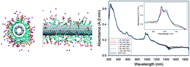 Graphical abstract: Salt-specific effects in aqueous dispersions of carbon nanotubes