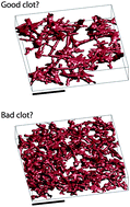 Graphical abstract: A study of microstructural templating in fibrin–thrombin gel networks by spectral and viscoelastic analysis