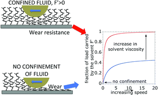 Graphical abstract: Understanding the role of viscous solvent confinement in the tribological behavior of polymer brushes: a bioinspired approach