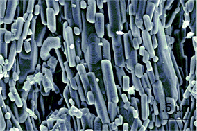 Graphical abstract: Calcium phosphate-based materials of natural origin showing photocatalytic activity