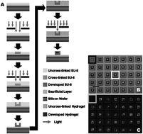 Graphical abstract: Nano- and microfabrication for overcoming drug delivery challenges