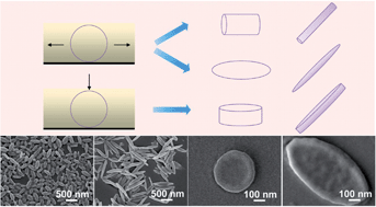 Graphical abstract: Controllable drug release and effective intracellular accumulation highlighted by anisotropic biodegradable PLGE nanoparticles