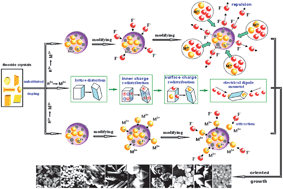 Graphical abstract: Size and shape modifications, phase transition, and enhanced luminescence of fluoride nanocrystals induced by doping