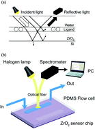 Graphical abstract: Exploration of interactions between membrane proteins embedded in supported lipid bilayers and their antibodies by reflectometric interference spectroscopy-based sensing