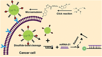 Graphical abstract: Synthesis of fluorescent dye-doped silica nanoparticles for target-cell-specific delivery and intracellular MicroRNA imaging