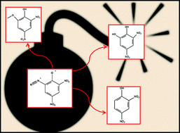 Graphical abstract: Degradation study of nitroaromatic explosives 2-diazo-4,6-dinitrophenol and picramic acid using HPLC and UHPLC-ESI-MS/MS