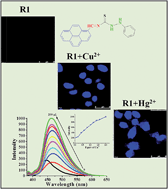 Graphical abstract: A pyrene-linked thiourea as a chemosensor for cations and simple fluorescent sensor for picric acid