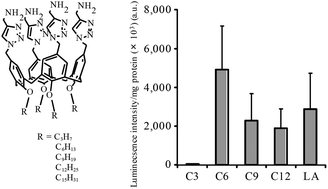 Graphical abstract: The transfection efficiency of calix[4]arene-based lipids: the role of the alkyl chain length