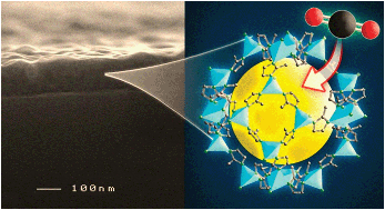 Graphical abstract: Dynamic response of ultrathin highly dense ZIF-8 nanofilms