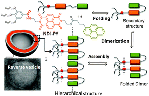 Graphical abstract: To assemble or fold?