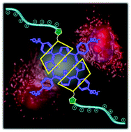 Graphical abstract: Supramolecular intracellular delivery of an anionic porphyrin by octaarginine-conjugated per-O-methyl-β-cyclodextrin