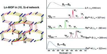 Graphical abstract: Photoluminescent 3D lanthanide MOFs with a rare (10,3)-d net based on a new tripodal organic linker