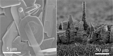 Graphical abstract: New growth modes of molybdenum oxide layered 1D structures using alternative catalysts: transverse mode vs. axial mode