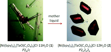 Graphical abstract: Crystal disassembly and reassembly of heterometallic NiII–TaV oxalate compounds