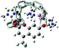 Graphical abstract: Intermolecular proton shuttling in excited state proton transfer reactions: insights from theory