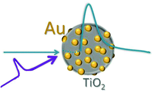 Graphical abstract: Size dependence of ultrafast charge dynamics in monodisperse Au nanoparticles supported on TiO2 colloidal spheres