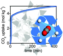 Graphical abstract: Fast carbon dioxide recycling by reaction with γ-Mg(BH4)2