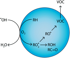 Stochastic methods for aerosol chemistry: a compact molecular ...