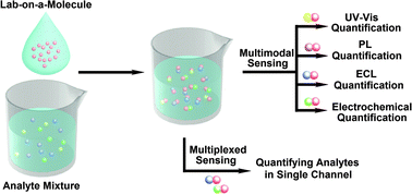 Graphical abstract: Design strategies for lab-on-a-molecule probes and orthogonal sensing