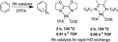 Graphical abstract: Arene C–H activation using Rh(i) catalysts supported by bidentate nitrogen chelates