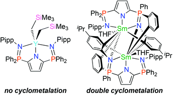 Graphical abstract: Differences in the cyclometalation reactivity of bisphosphinimine-supported organo-rare earth complexes