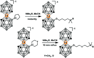 Graphical abstract: Synthesis and the structure of 8-tetrahydrofuronium and 8-tetrahydropyronium derivatives of iron bis(dicarbollide)(-I) and their cleavage reactions