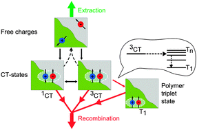 Graphical abstract: Sub-ns triplet state formation by non-geminate recombination in PSBTBT:PC70BM and PCPDTBT:PC60BM organic solar cells