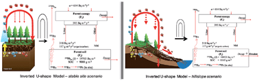 Graphical abstract: Atmospheric 210Pb as a tracer for soil organic carbon transport in a coniferous forest