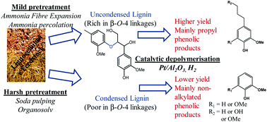 Catalytic depolymerisation of isolated lignins to fine chemicals using ...