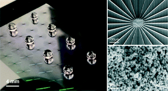 Graphical abstract: Superhydrophobic bull's-eye for surface-enhanced Raman scattering