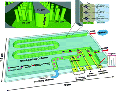 Graphical abstract: GC-on-chip: integrated column and photoionization detector