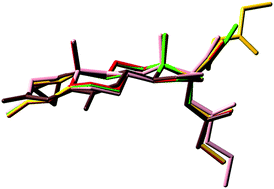 Graphical abstract: A full conformational characterization of antiandrogen cortexolone-17α-propionate and related compounds through theoretical calculations and nuclear magnetic resonance spectroscopy