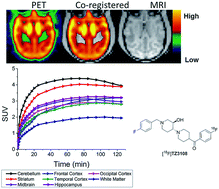 Graphical abstract: Radiosynthesis and in vivo evaluation of a novel σ1 selective PET ligand