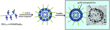 AuCl4−-responsive self-assembly of ionic liquid block copolymers for ...