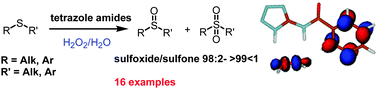 New aminotetrazole derivatives as hydrogen bonding catalysts. A green ...