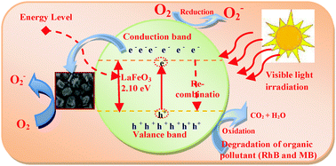 Graphical abstract: Photocatalytic degradation of organic dyes under visible light irradiation by floral-like LaFeO3 nanostructures comprised of nanosheet petals