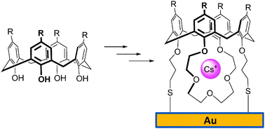 Graphical abstract: Synthesis of a cone-conformer bimodal calix[4]arene-crown-5 which forms a sensitive cesium ion sensing layer on gold-coated microcantilevers