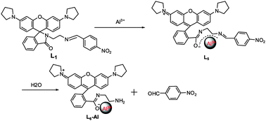 Graphical abstract: Three N-stabilized rhodamine-based fluorescent probes for Al3+via Al3+-promoted hydrolysis of Schiff bases