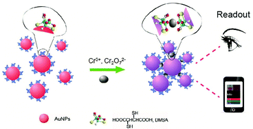 Graphical abstract: Detection of the nanomolar level of total Cr[(iii) and (vi)] by functionalized gold nanoparticles and a smartphone with the assistance of theoretical calculation models