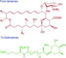 Graphical abstract: Non-isoprenoid polyene natural products – structures and synthetic strategies