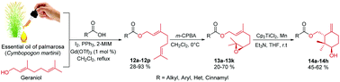 Graphical abstract: Gd(OTf)3-catalyzed synthesis of geranyl esters for the intramolecular radical cyclization of their epoxides mediated by titanocene(iii)