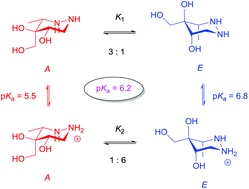 Graphical abstract: Exploring the relationship between the conformation and pKa: can a pKa value be used to determine the conformational equilibrium?