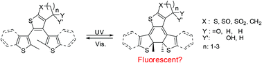 Graphical abstract: The effect of a “push–pull” structure on the turn-on fluorescence of photochromic thio-ketone type diarylethenes