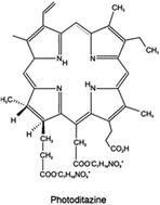 Graphical abstract: In vivo evaluation of photodynamic inactivation using Photodithazine® against Candida albicans