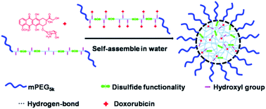 Graphical abstract: Novel hydroxyl-containing reduction-responsive pseudo-poly(aminoacid) via click polymerization as an efficient drug carrier