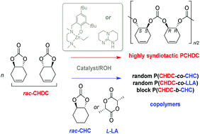 Graphical abstract: Syndioselective ring-opening polymerization and copolymerization of trans-1,4-cyclohexadiene carbonate mediated by achiral metal- and organo-catalysts